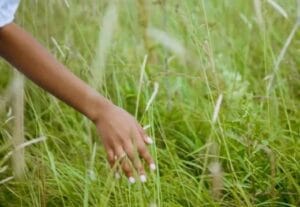 film publicitaire pour Terra Nostra immobilier